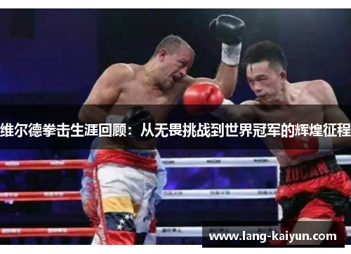 维尔德拳击生涯回顾：从无畏挑战到世界冠军的辉煌征程